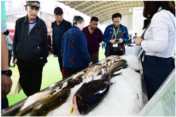 乐天堂备用网址