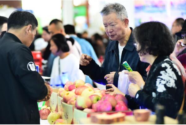 乐天堂备用网址