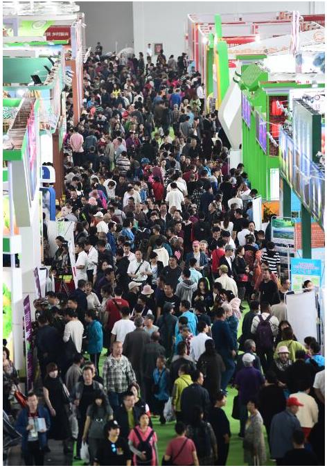 乐天堂备用网址