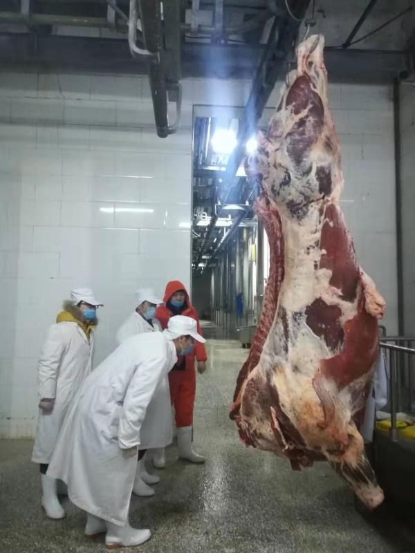 乐天堂备用网址