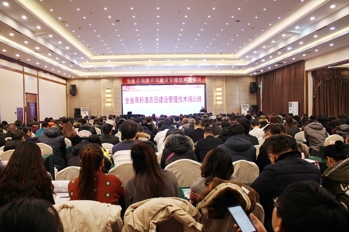 乐天堂备用网址