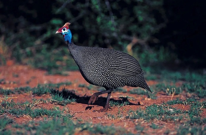 乐天堂备用网址