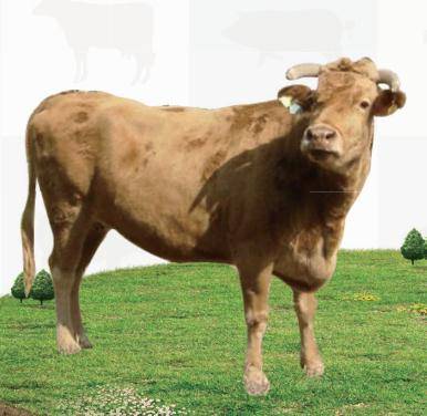 乐天堂备用网址