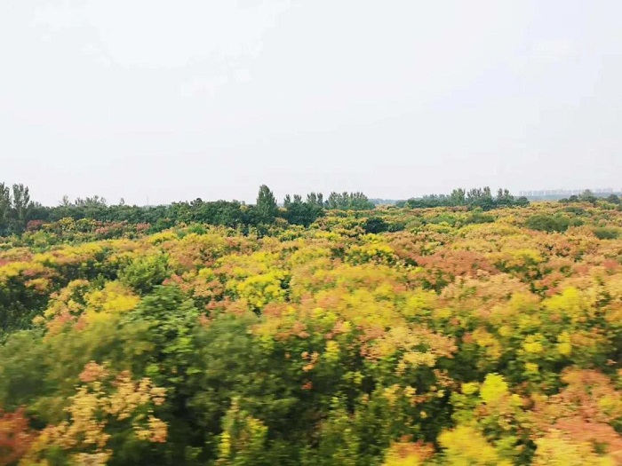 乐天堂备用网址