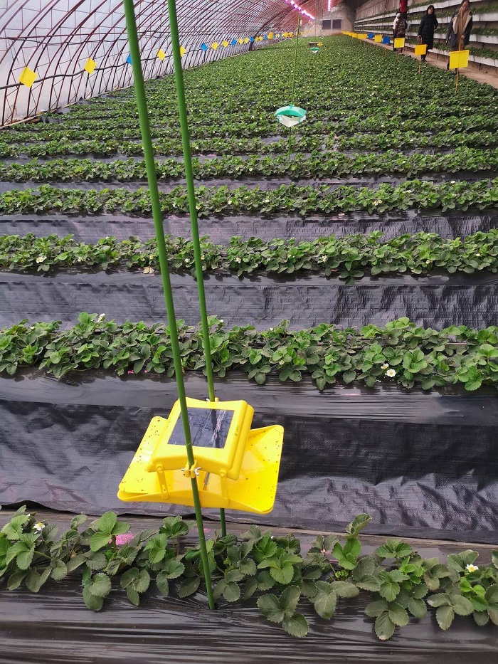 乐天堂备用网址