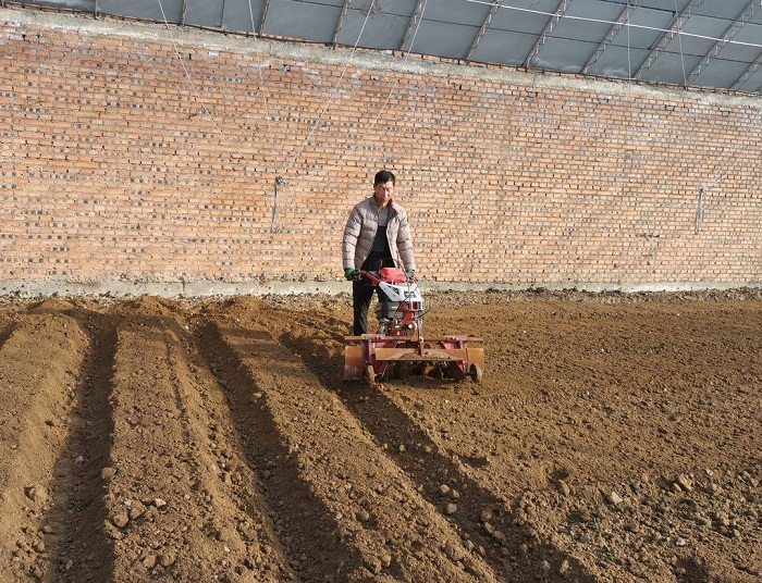 乐天堂备用网址