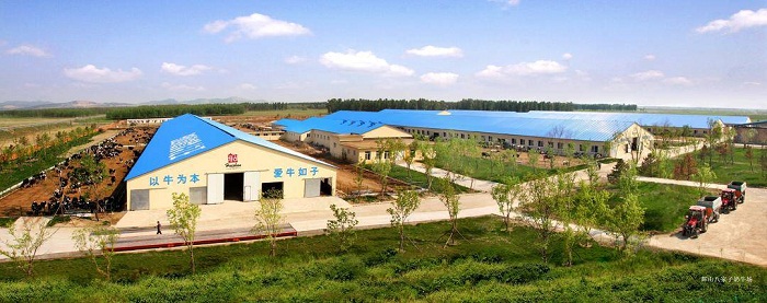 乐天堂备用网址