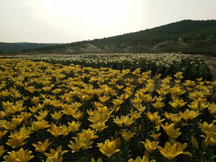 乐天堂备用网址