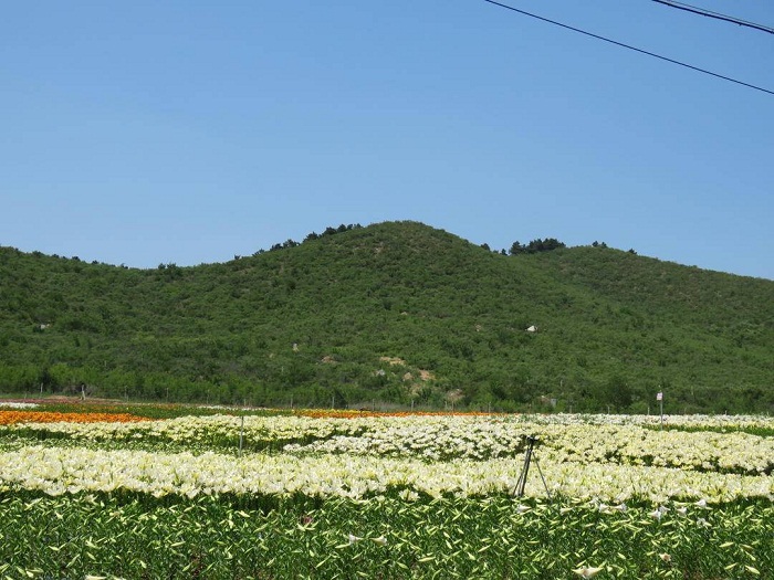 乐天堂备用网址