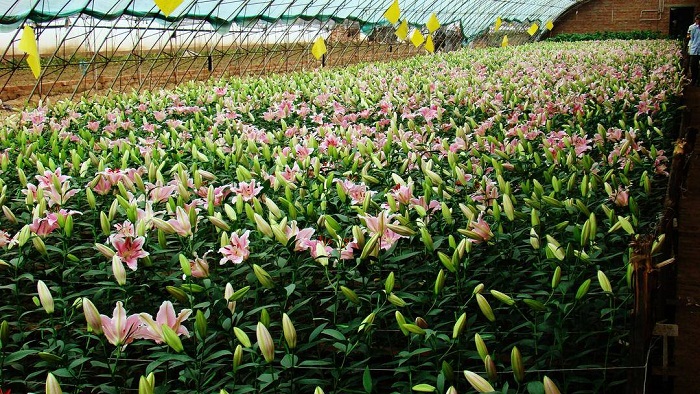 乐天堂备用网址