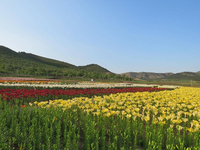 乐天堂备用网址