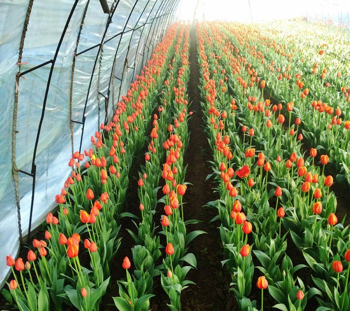 乐天堂备用网址