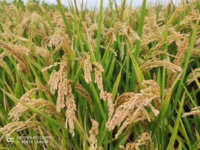 乐天堂备用网址