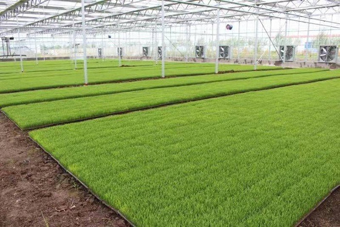 乐天堂备用网址