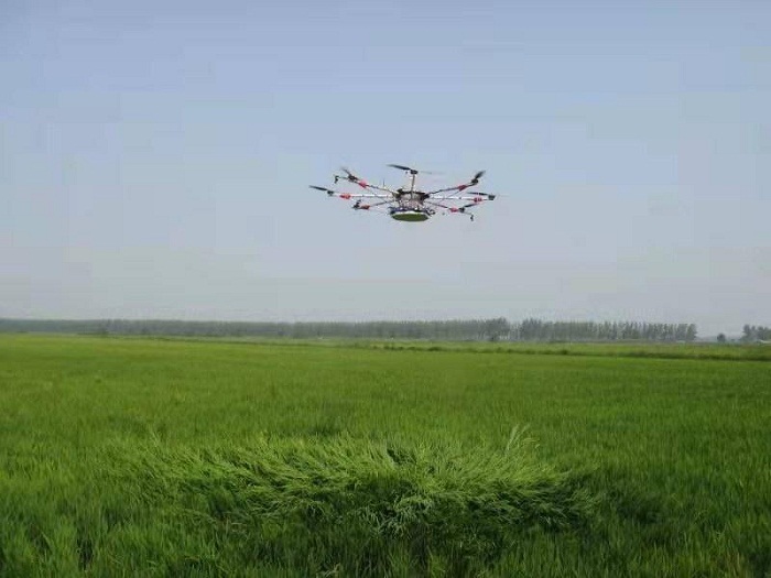 乐天堂备用网址