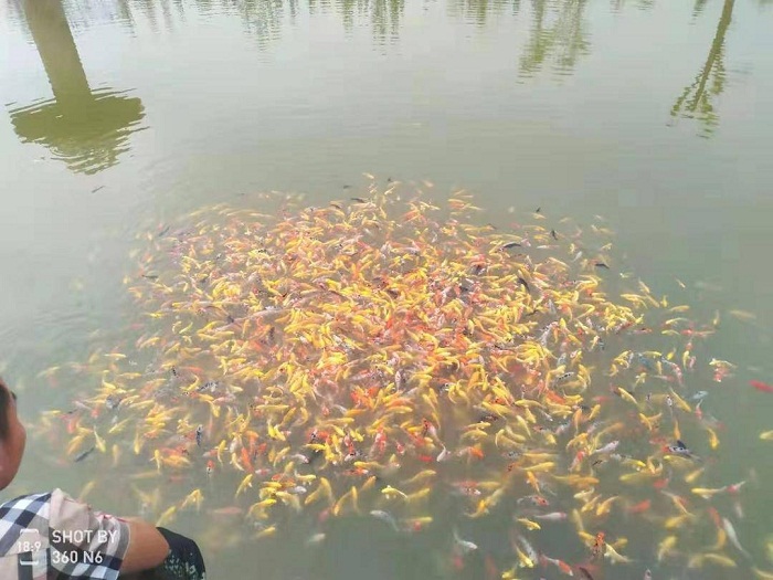 乐天堂备用网址