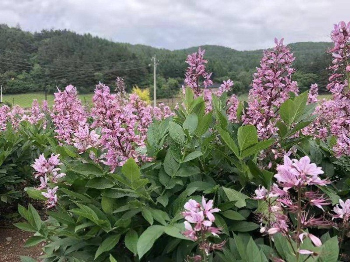 乐天堂备用网址