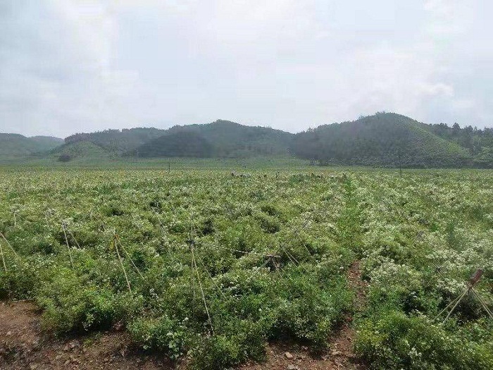 乐天堂备用网址