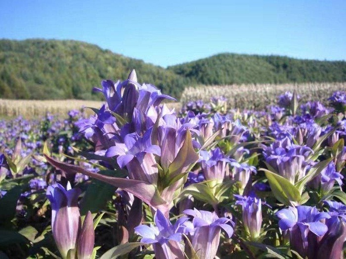 乐天堂备用网址