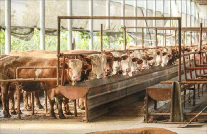 乐天堂备用网址