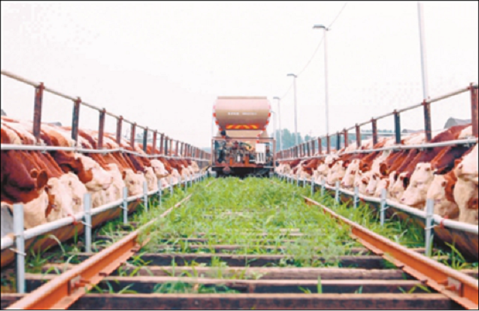 乐天堂备用网址