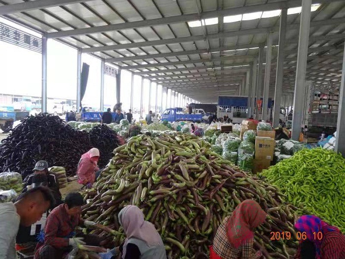 乐天堂备用网址