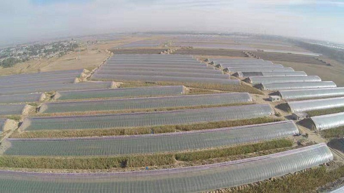 乐天堂备用网址