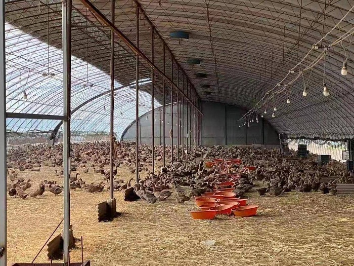 乐天堂备用网址