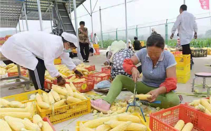 乐天堂备用网址