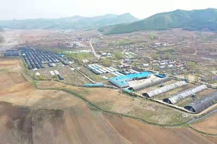 乐天堂备用网址