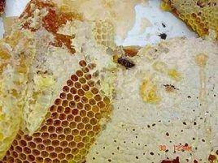 乐天堂备用网址