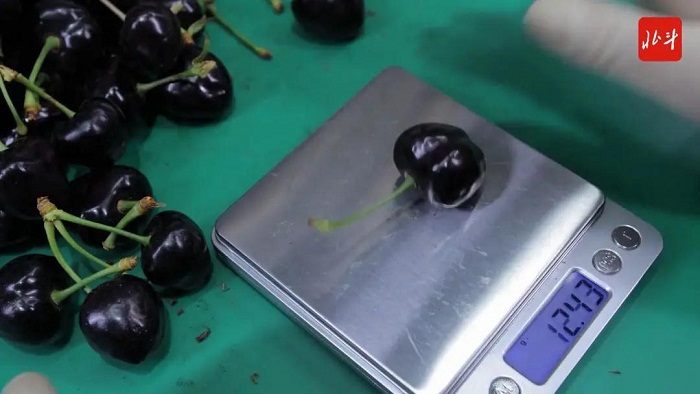 乐天堂备用网址