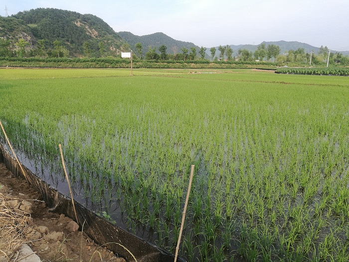 乐天堂备用网址