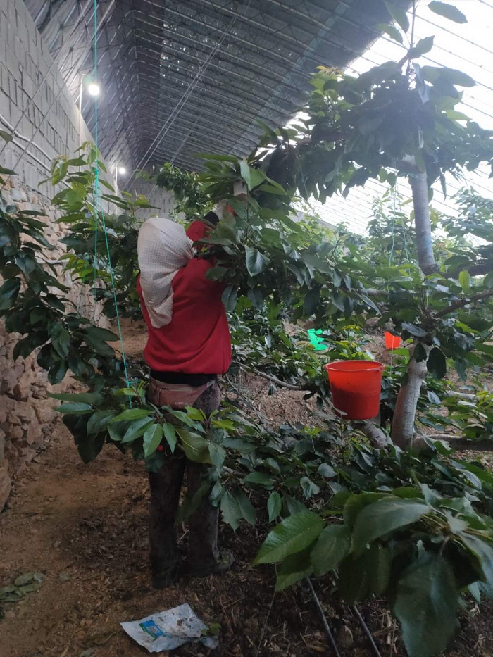 乐天堂备用网址