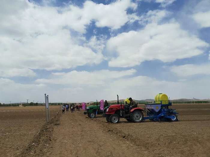 乐天堂备用网址