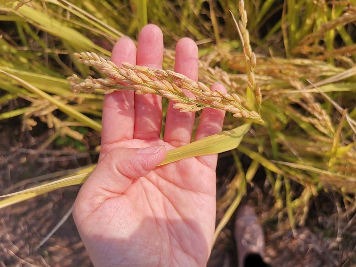 乐天堂备用网址