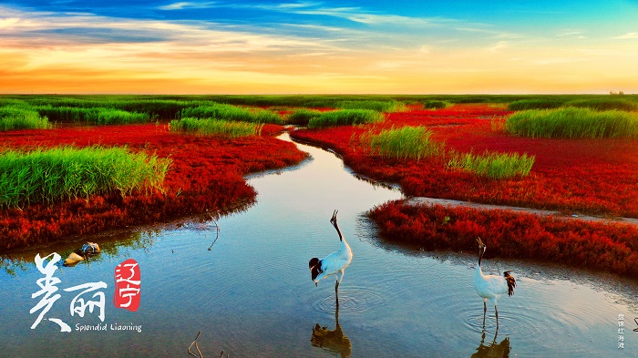 乐天堂备用网址