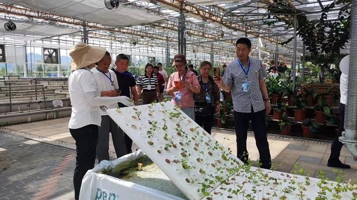 乐天堂备用网址