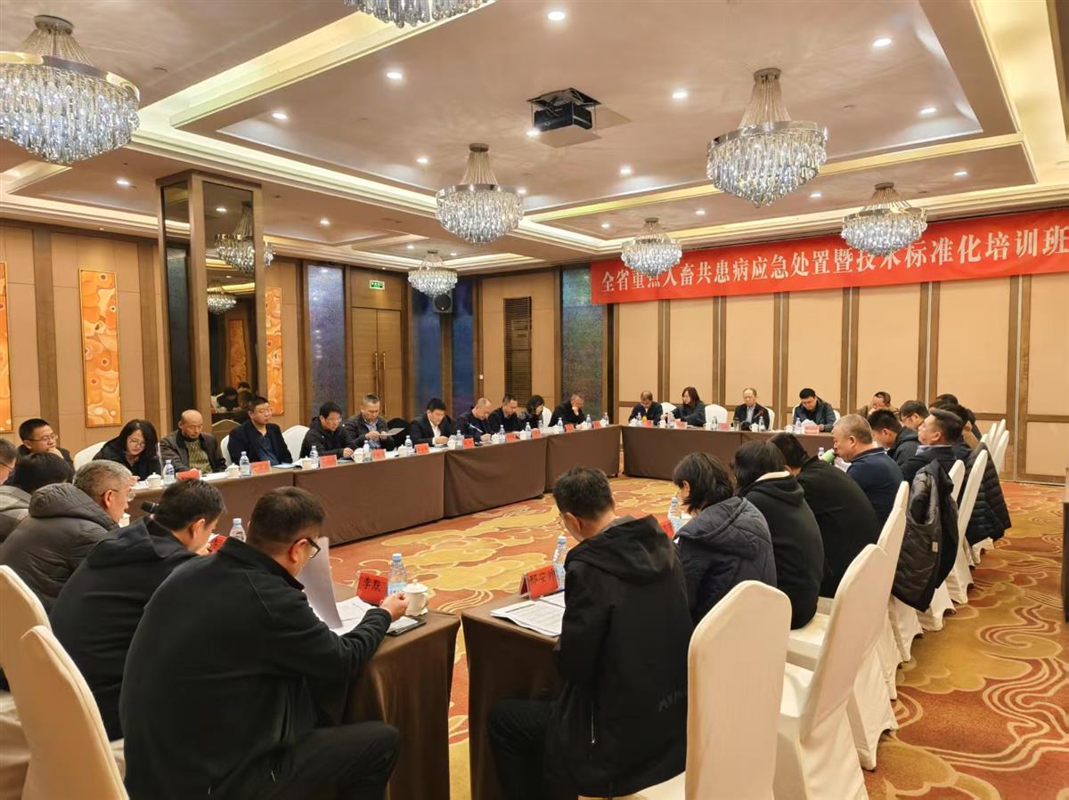 乐天堂备用网址