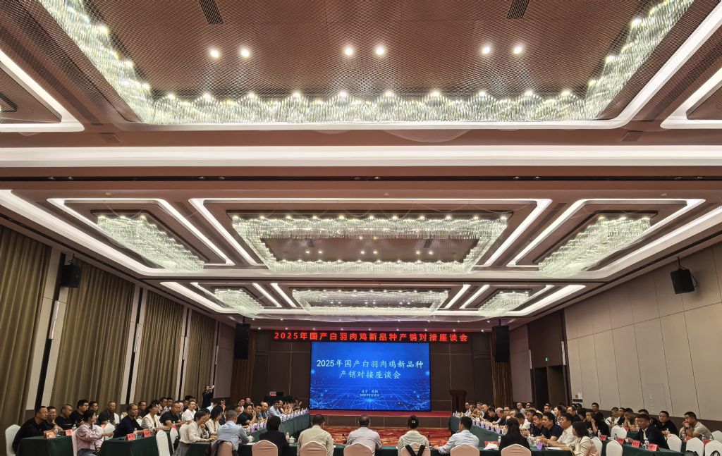 乐天堂备用网址