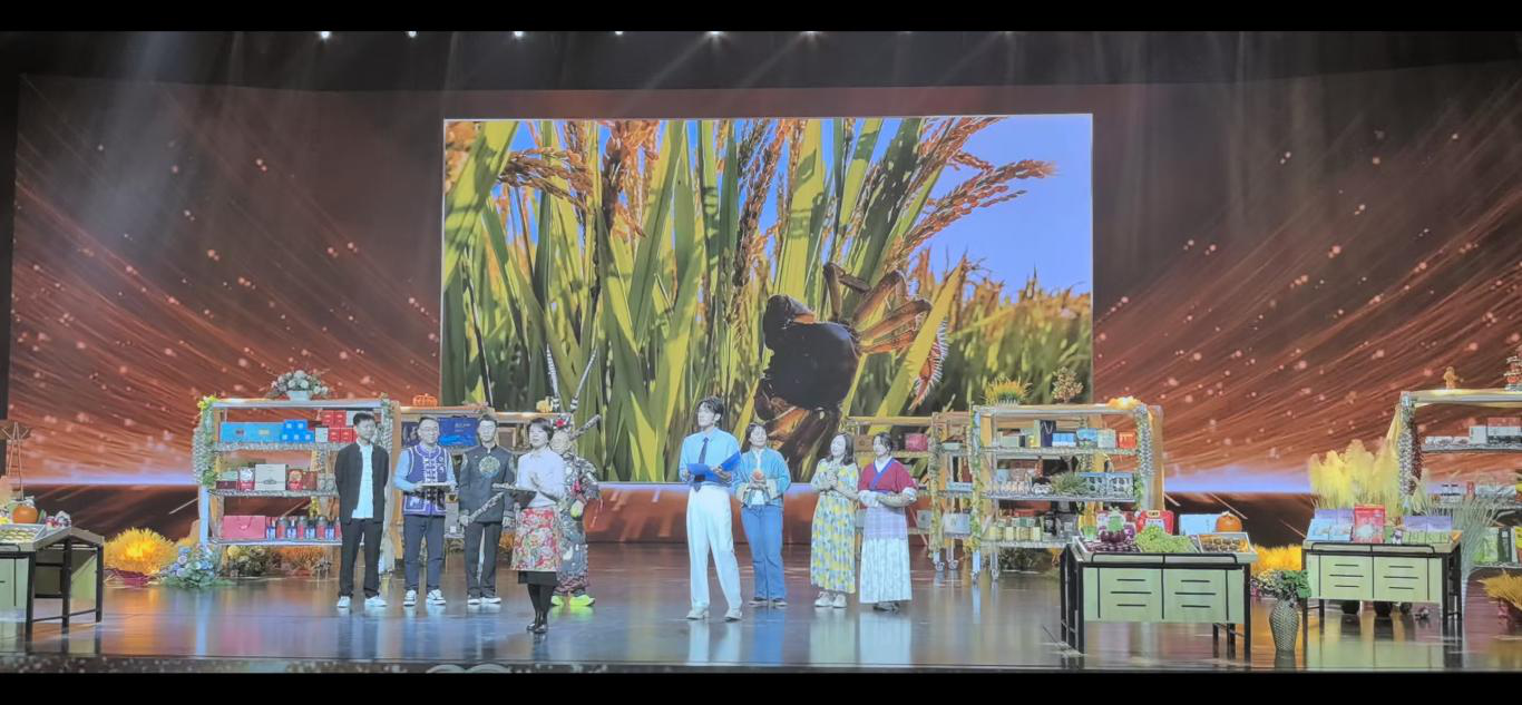 乐天堂备用网址