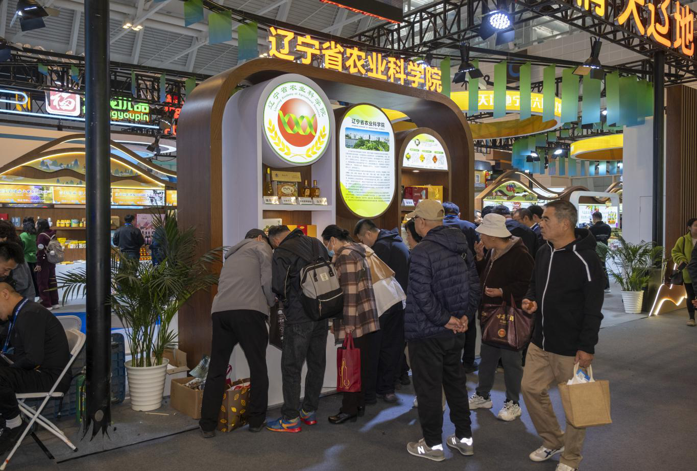 乐天堂备用网址