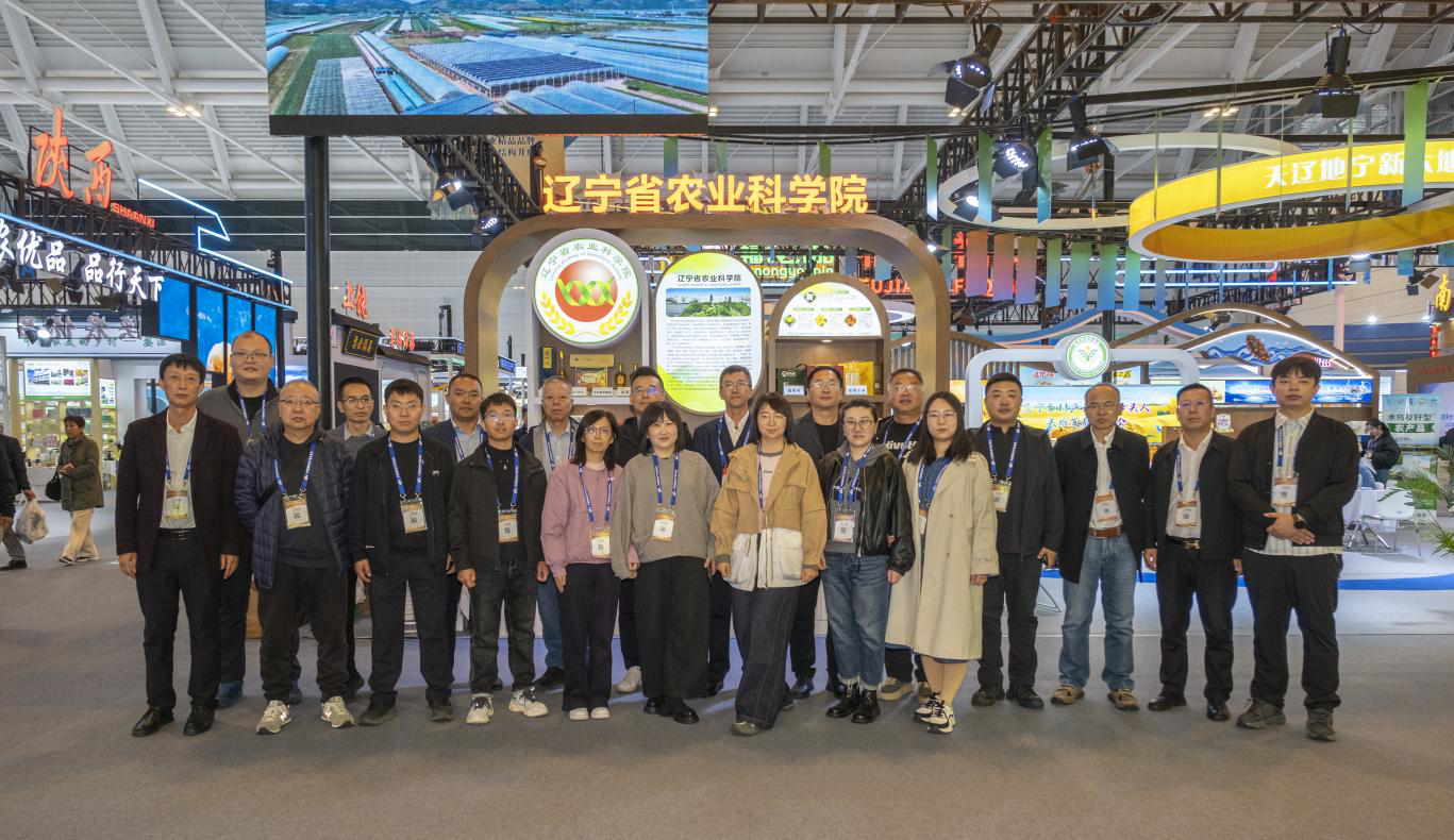 乐天堂备用网址