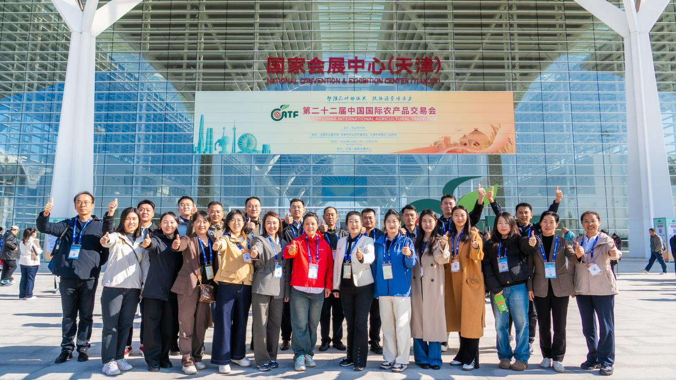 乐天堂备用网址