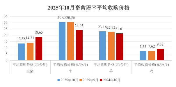 乐天堂备用网址