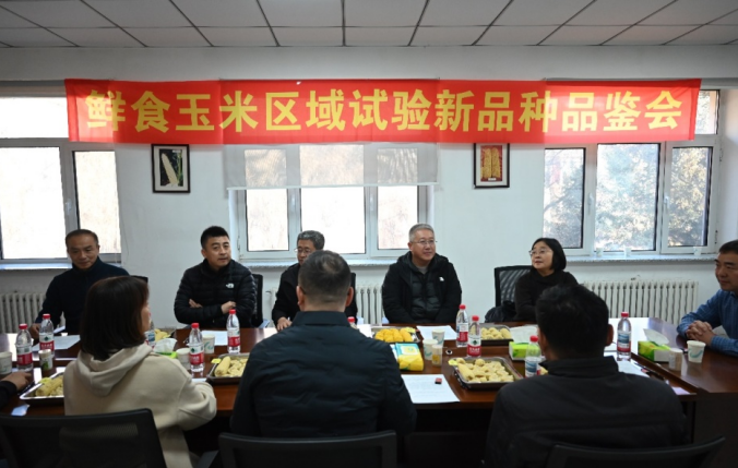 乐天堂备用网址