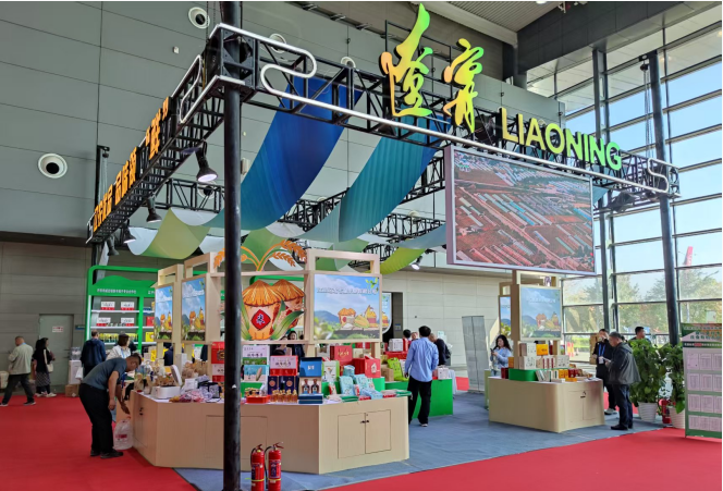 乐天堂备用网址