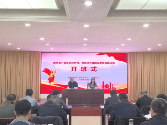 乐天堂备用网址