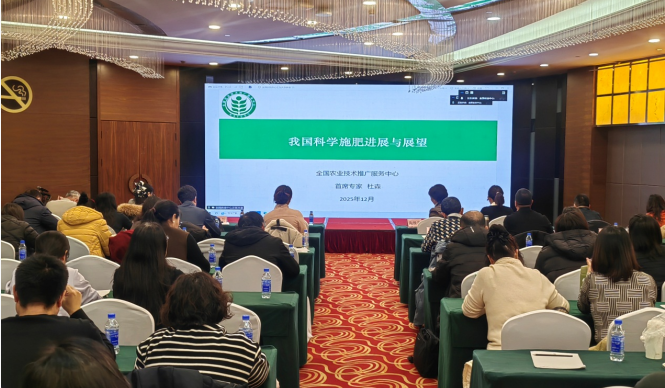 乐天堂备用网址