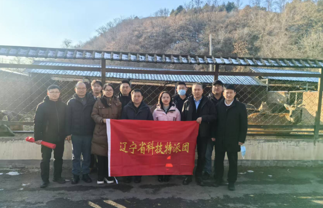 乐天堂备用网址